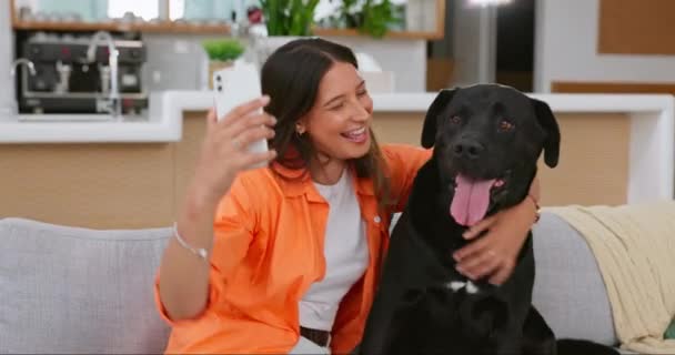 Köpek Selfie Kadın Oturma Odasındaki Kanepede Hayvan Sevgisi Destek Bakım — Stok video
