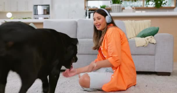 Căști Mângâiere Câini Femeie Într Cameră Care Simte Dragoste Pentru — Videoclip de stoc