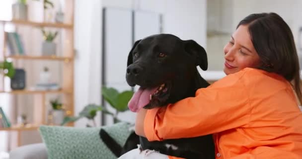 Femeia Mângâie Câinele Canapea Iubește Joacă Împreună Camera Prietenie Distractivă — Videoclip de stoc