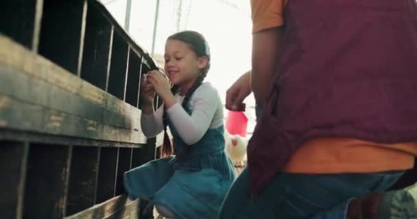 子供農家 鶏の卵を自宅で持続可能な食糧収穫のための健康的な自然有機家畜の方法を学ぶ 幸せな女の子 養鶏場と環境に優しい動物の持続可能性農家 — ストック動画