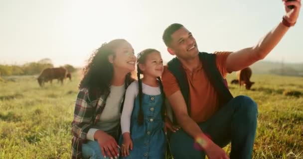 幸せな家族 自撮りや農業の産業に夏に牛と農場で電話 父と娘の子供は田舎のフィールド上の愛や自由を持つソーシャルメディアのための写真で笑顔 — ストック動画