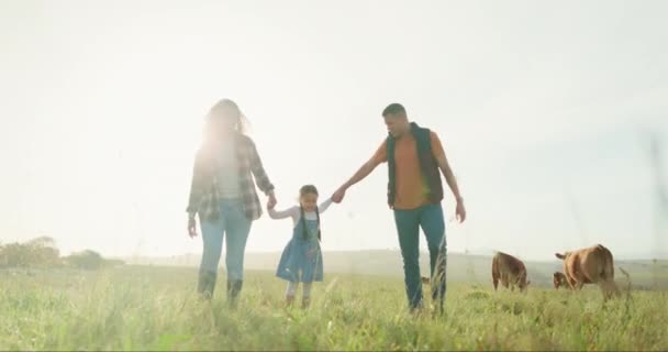 自然環境や農業の田舎で農場で手を握ったり 楽しい絆ゲームをしている男 カナダの幸せな農家の家族 女の子 親牛と持続可能な風景 — ストック動画