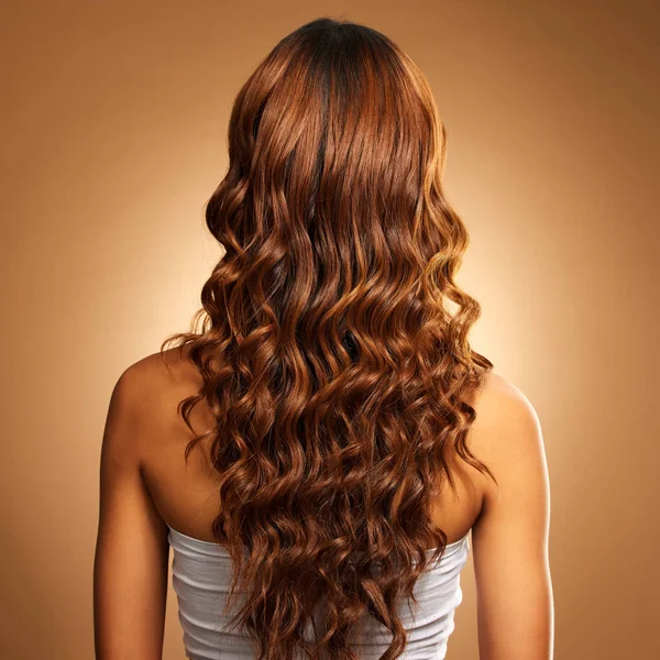 Back of hair, curls and woman for beauty, wellness and keratin treatment on brown background. Hairdresser mockup, salon studio and girl with curly hairstyle for growth, haircare texture or cosmetics.