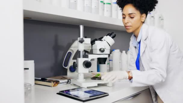 Bilim Adamı Bitki Mikroskobu Tıbbi Araştırma Test Bilgi Için Tabletli — Stok video