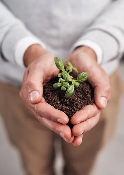 Mudança Começa Contigo Empresário Segurando Uma Planta Que Cresce Fora — Fotografia de Stock