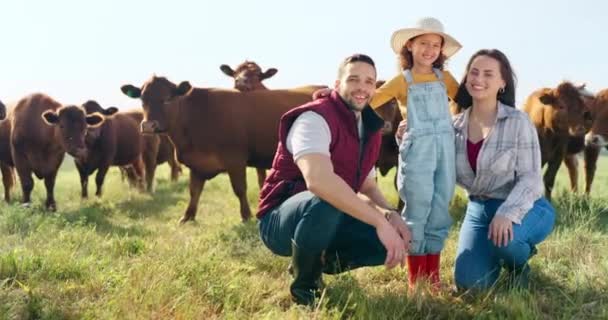 家庭和牛 以及一个女孩 一个母亲和一个父亲在牧场的户外牧场放牛 可持续性和对从事农业促进增长的男子 妇女和女儿的爱 — 图库视频影像