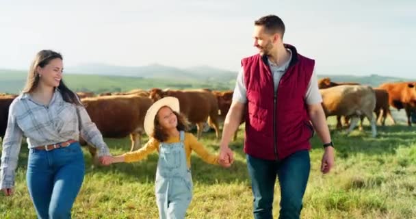 农业和农村农民 女童指点 照料和学习牛 牛或动物 快乐的男女父母与孩子们在肉 牛肉或畜牧场上亲热 — 图库视频影像