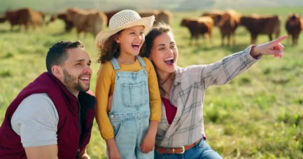 Szczęśliwa Rodzinna Więź Farmie Bydła Szczęśliwa Śmiejąca Się Ucząca Zwierzętach — Wideo stockowe