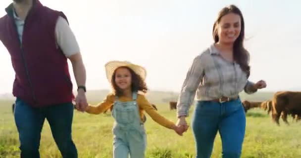 牛と田舎のフィールドで農場 幸せと実行中の女の子 家族や両親 持続可能性と緑の草の感覚でママ お父さんと子供の幸せを手を取り合って屋外 — ストック動画
