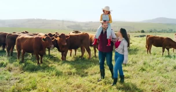 农场和农业 有一个女孩 母亲和父亲在草地上和奶牛一起散步 可持续发展和与一名男子 妇女和女儿一起务牛的田地 — 图库视频影像