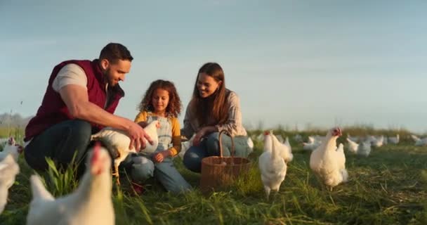 Tavuk Çiftlik Mutlu Anne Baba Çocuğun Aile Sevgisi Birlikte Güzel — Stok video