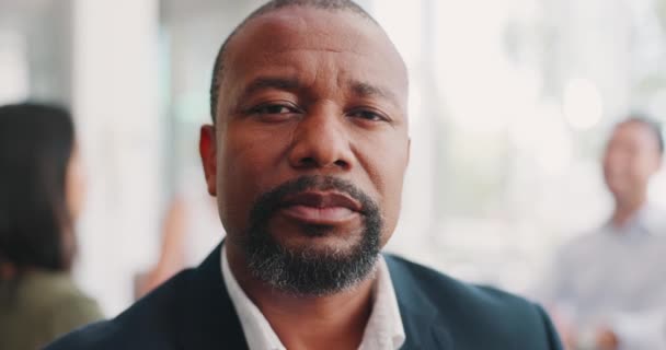 Liderlik Ciddi Kendine Güvenen Iddialı Ifadeli Siyahi Bir Adamın Yüzü — Stok video