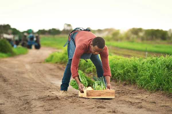 重い時はその良さを知っている 新鮮な農産物の箱を運ぶハンサムな若い男性農家の完全な長さのショット — ストック写真
