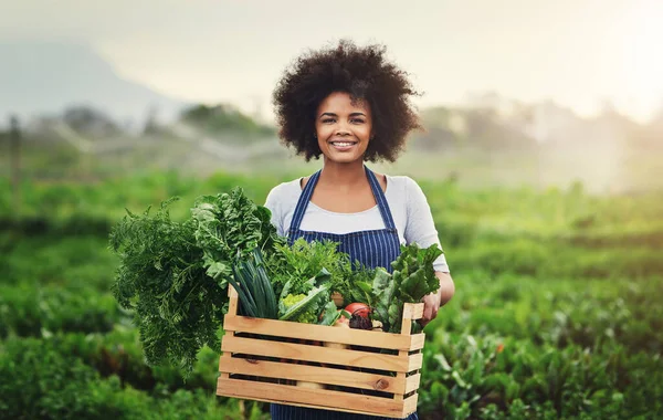 Estão Repletos Nutrientes Uma Jovem Atraente Agricultora Portadora Uma Caixa — Fotografia de Stock