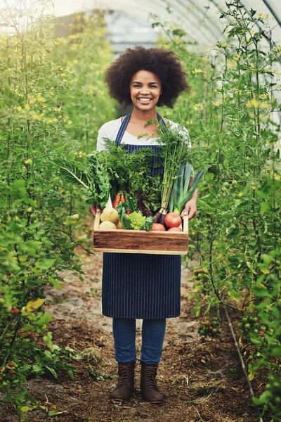 我迫不及待地走进厨房 一个带着一箱新鲜农产品的年轻貌美的女农场主 — 图库照片
