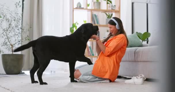 Kopfhörer Hund Beim Spielen Und Frau Wohnzimmer Die Welpenliebe Aus — Stockvideo