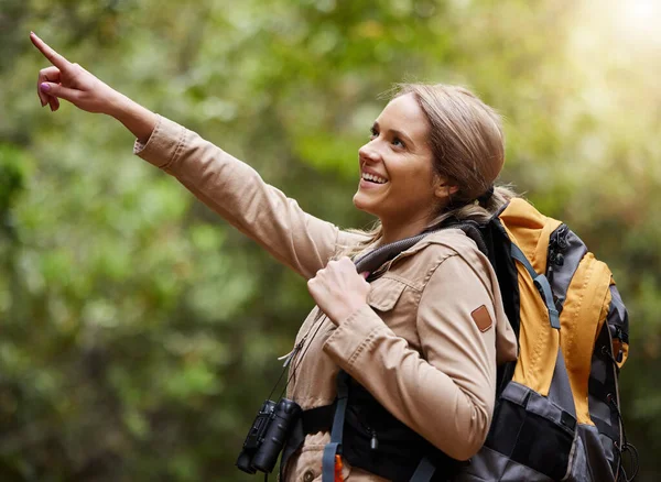 在大自然 森林或荒野中徒步旅行 指指点点或快乐的女人 以进行远足探险 兴奋的女徒步旅行者在自然公园或森林里散步以获得运动或度假时的健康 — 图库照片