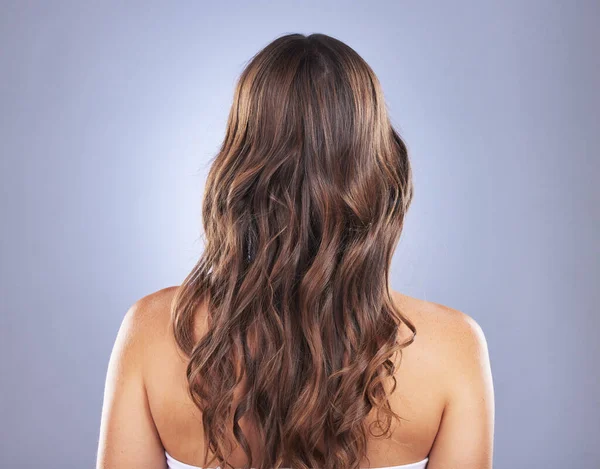 Beauty, hair and back of a woman in studio for curls, growth and healthy texture on blue background. Aesthetic female model for hair care and cosmetic shine results for salon or hairdresser treatment.