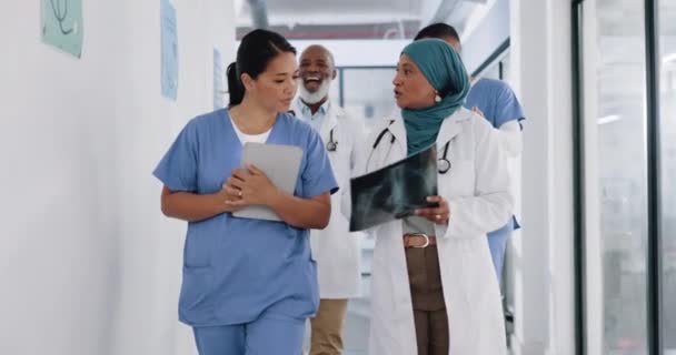 Röntgen Sağlık Danışmanlığı Doktorla Birlikte Eğitim Tıbbi Koçluk Hasta Sonuçları — Stok video