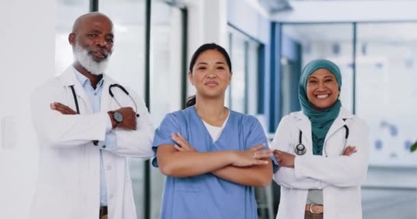 多样化 医生和学生肖像画在医院里 脸上洋溢着喜庆的表情 携手合作 资深和专业的医务工作者对医疗设施的团队合作感到满意 — 图库视频影像
