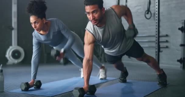 Fitness Spor Salonu Halterler Ağırlık Kaldırma Vücut Egzersizi Yapan Insanlar — Stok video