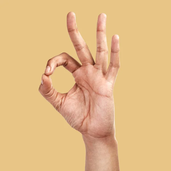 Hands, perfect and ok sign of person in support, vote or approve decision on color background. Closeup fingers, yes and okay gesture of model with body language of agreement, emoji review and studio.