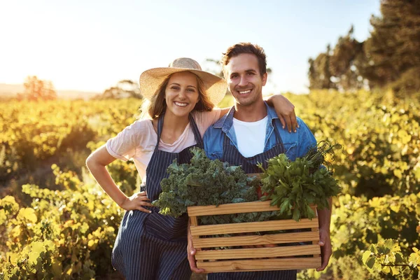 Ripe Ready Munched Cropped Portrait Affectionate Young Couple Working Together — Stock Photo, Image