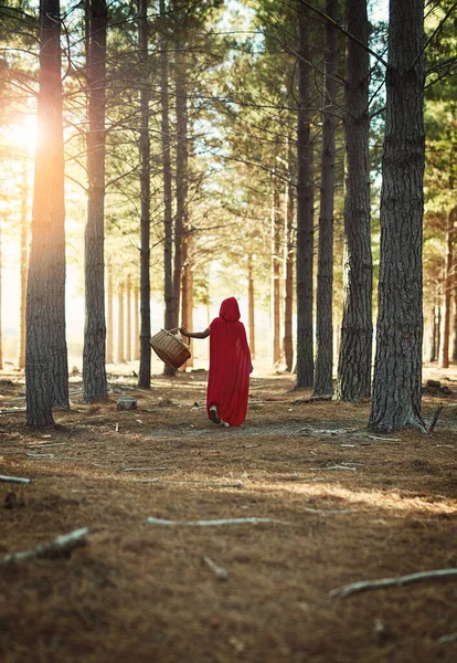 Çocukların Hayatları Merak Macera Ile Dolu Olmalı Kırmızı Pelerinli Küçük — Stok fotoğraf