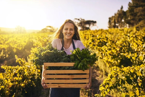 那么绿 那么好 一个拿着一板条箱新鲜采摘的农产品的年轻女子 — 图库照片