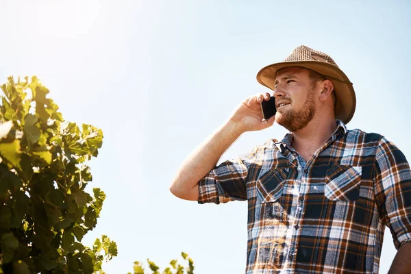 Oportunidad Siempre Llamará Eres Trabajador Duro Agricultor Hablando Por Celular —  Fotos de Stock