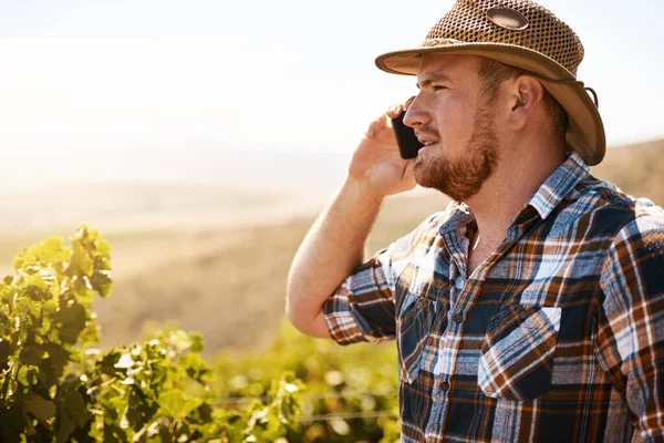 彼が供給する多くの店の1つで注文を確認する 畑で携帯電話で話している農家は — ストック写真