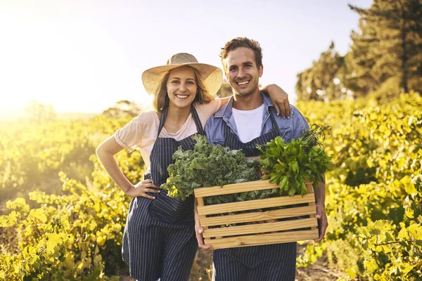 Organikus Tudod Egy Fiatal Férfi Egy Együtt Dolgoznak Egy Farmon — Stock Fotó