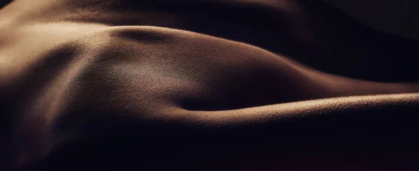 stock image Naked, back and silhouette, closeup of woman and skin with dark aesthetic, sexy and sensual with art. Creative, beauty and nude female zoom with bare body in darkness, abstract and model in studio.