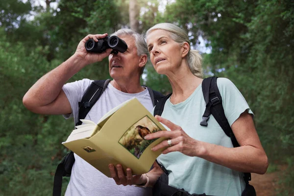 Book, bird watching and binoculars with old couple in nature for bonding, discovery and travel adventure. Search, hiking and view with senior man and woman in forest for explore, retirement and hobby.