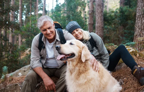 大自然 徒步旅行和老年夫妇带着他们的狗在树林里进行健康的有氧运动 在澳大利亚的一个森林里 快乐的 旅行的 年老的男女徒步旅行者和他们的宠物退休后一起徒步旅行 — 图库照片
