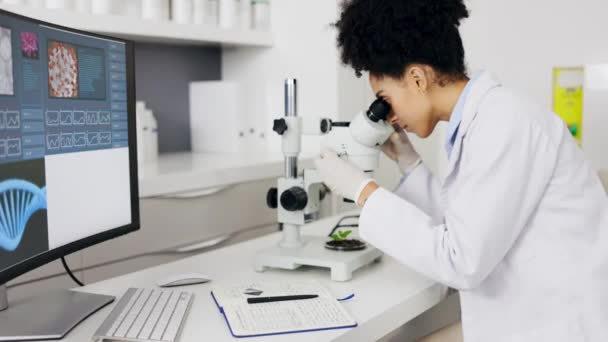 Επιστήμονας Μικροσκόπιο Φυτών Και Σημειώσεις Γραφής Γυναικών Για Ιατρική Έρευνα — Αρχείο Βίντεο