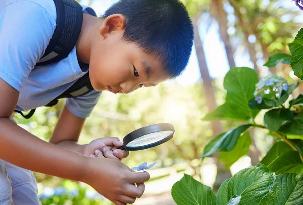 Förstoringsglas Trädgård Och Asiatisk Pojke Som Studerar Växter Utomhus För — Stockfoto