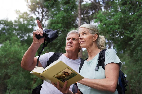 Book, bird watching and search with old couple in nature for bonding, discovery and travel adventure. Relax, hiking and view with senior man and woman in forest for explore, retirement and hobby.