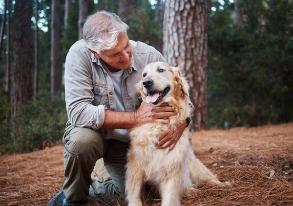 老年人 在森林和冒险中与狗一起远足 在旅行中健康 在爱与关怀中宠爱 退休的成年雄犬和户外捡金犬的自然 远足和活力 — 图库照片