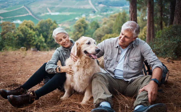 爱抚狗 远足和一对天生适合旅行 放松和在山上休息的夫妇 一个老男人和一个老女人和一个动物一起在山上散步 一起休息 — 图库照片