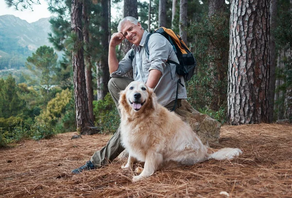 徒步旅行和快乐的狗在大自然的锻炼 健康和健美的徒步旅行 在森林里远足锻炼和背包有氧运动时的雄性和雌性动物的高级肖像 — 图库照片