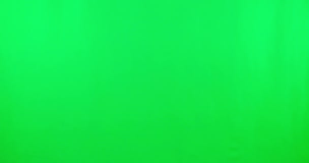 Tygří Kostým Hravý Dětský Obličej Zeleným Plátnem Halloweenskou Jednohubkou Pocit — Stock video