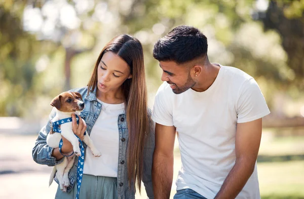 Couple, holding puppy and walking in park for sunshine, summer or care for happiness, talk and bond. Man, woman and carrying small dog pet with smile, love and family in nature together for wellness.