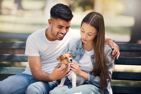 若いカップル 公園でリラックスし 絆でベンチと夏の日差し ロマンス 家族のための愛のためのタッチ 笑顔と抱擁を持つ男 女と小さな犬が一緒に — ストック写真