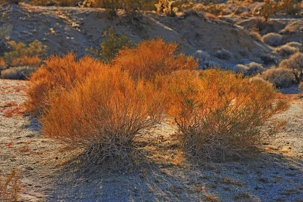 Puesta Del Sol Desierto Anza Borrego Puesta Sol Parque Estatal — Foto de Stock