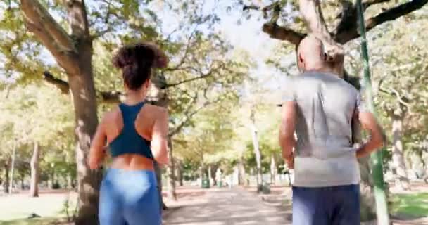 Fitness Bieganie Czarny Para Parku Tyłu Ćwiczeń Więzi Przyrodzie Razem — Wideo stockowe