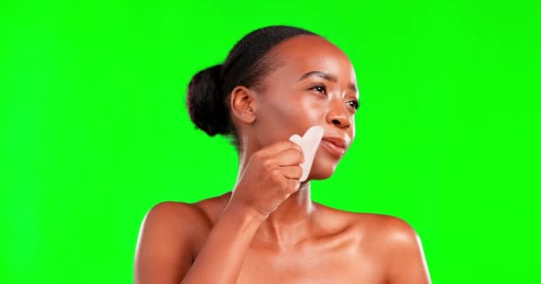 Zwarte Vrouw Schoonheid Gua Sha Studio Voor Huidverzorging Cosmetica Dermatologie — Stockvideo