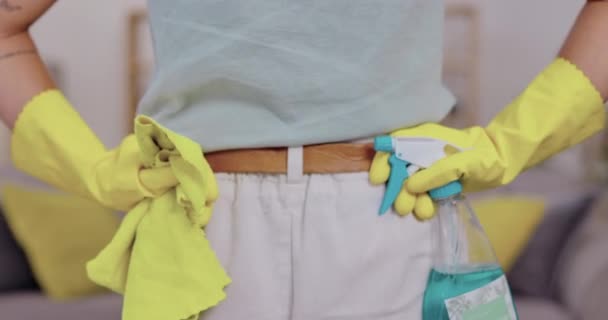 Kobieta Plecy Detergent Sprzątania Czyszczenia Lub Dezynfekcji Salonie Domu Widok — Wideo stockowe