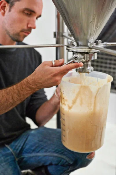 Mantener Cerveza Fresca Joven Que Trabaja Con Lúpulo — Foto de Stock