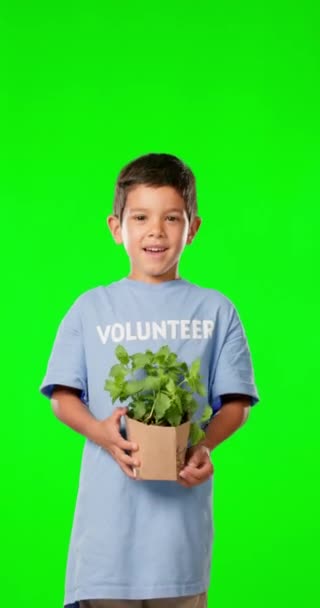 スタジオの背景に隔離された緑のスクリーンに植物を持つ幸せな顔と少年 ボランティア 笑顔とクリーンエネルギーと成長生態系のためのペパーミントの植物と子供の肖像画 — ストック動画